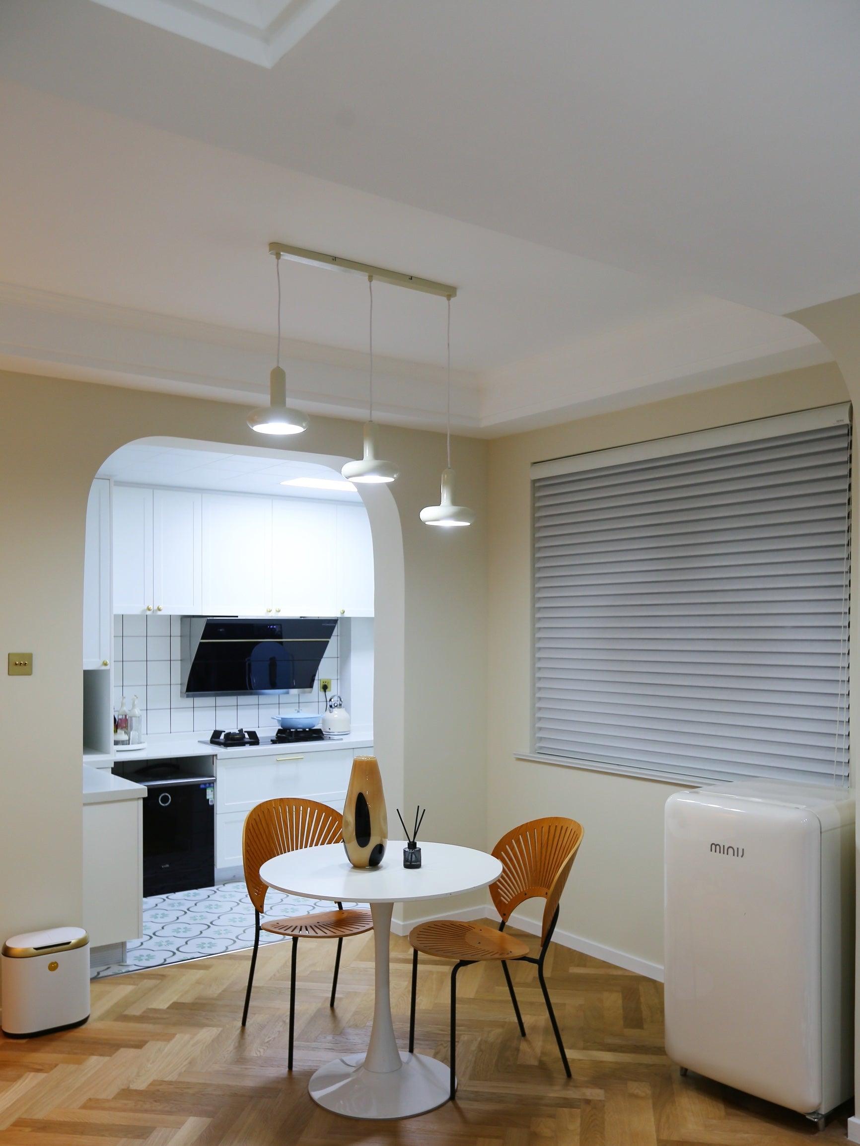 Puck Pendant Light - Letslighting