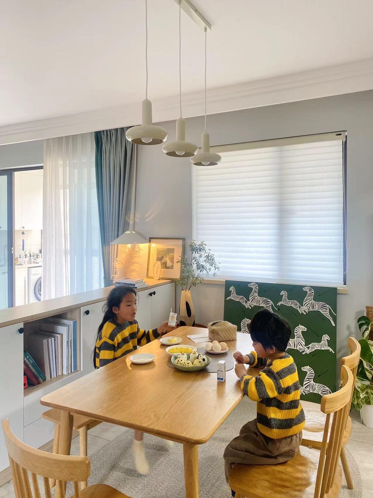Puck Pendant Light - Letslighting