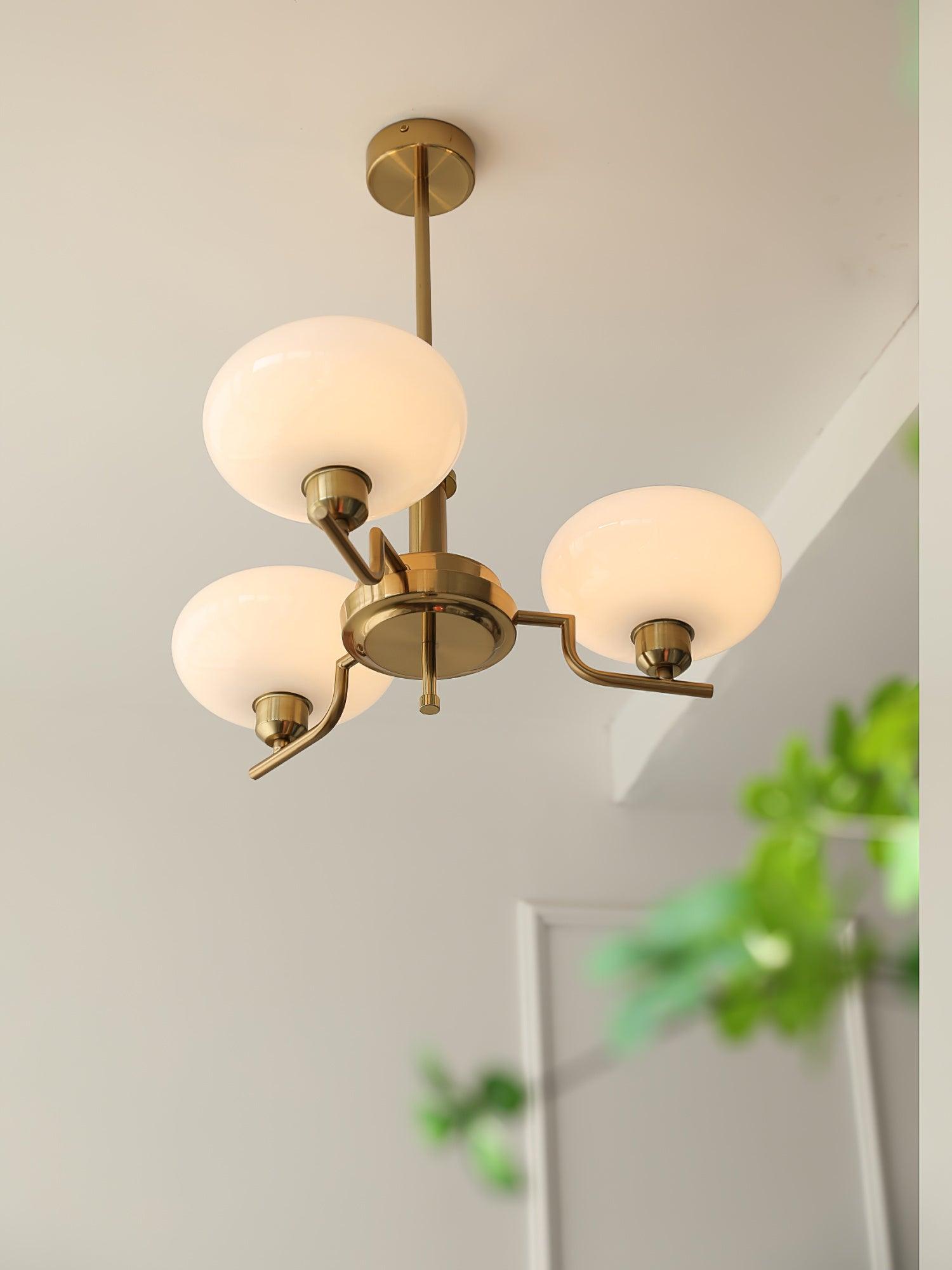 Puja Chandeliers - Letslighting