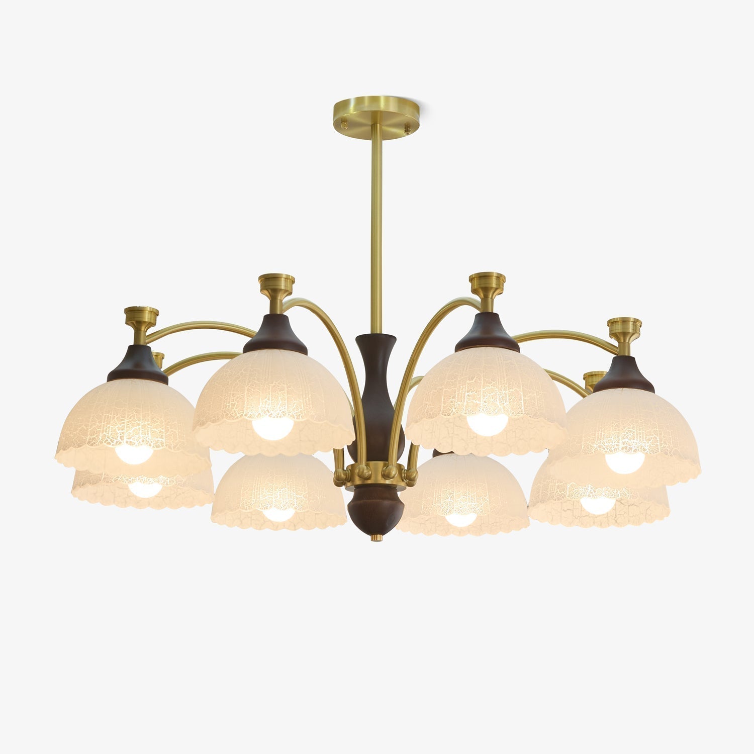 Rosetta Chandelier - Letslighting