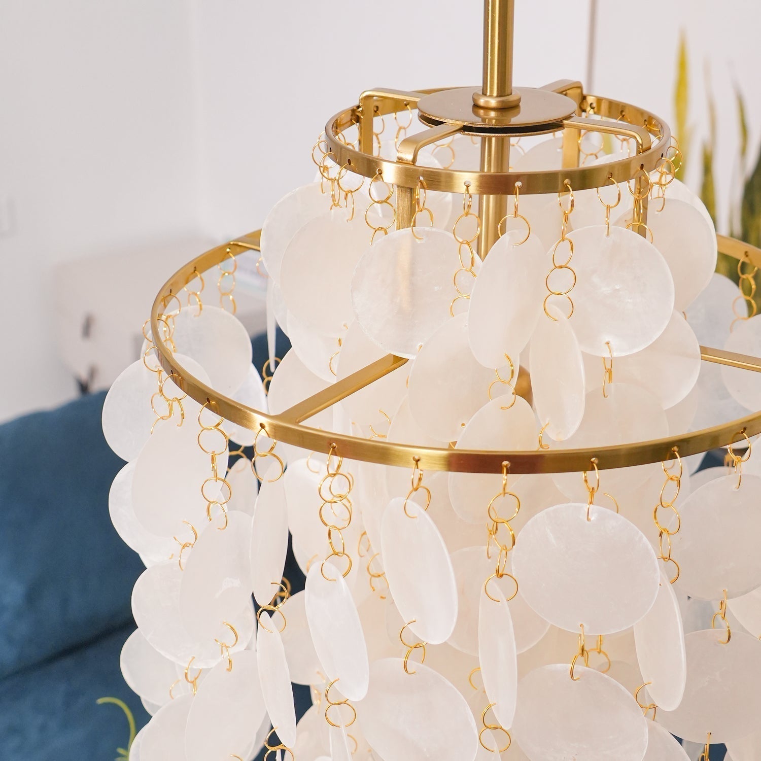 Round Shell Chandelier - Letslighting