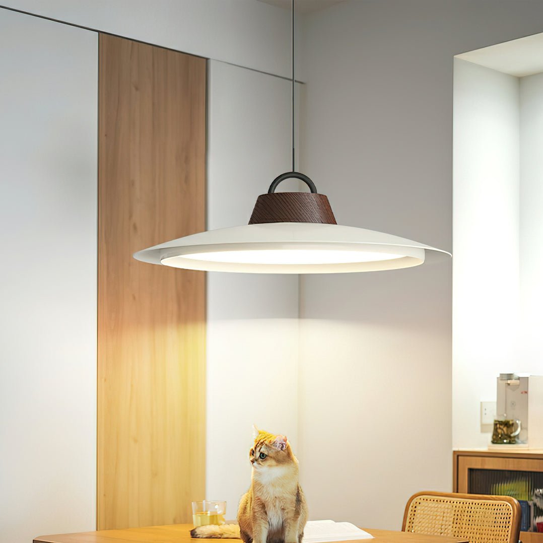 Ruile Pendant Lamp - Letslighting