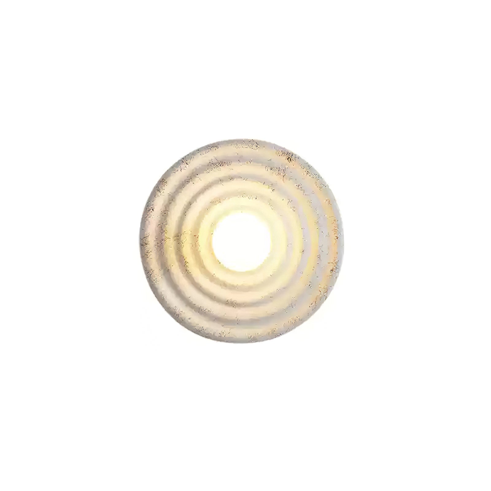 Seashell Resin Wall Lamp - Letslighting