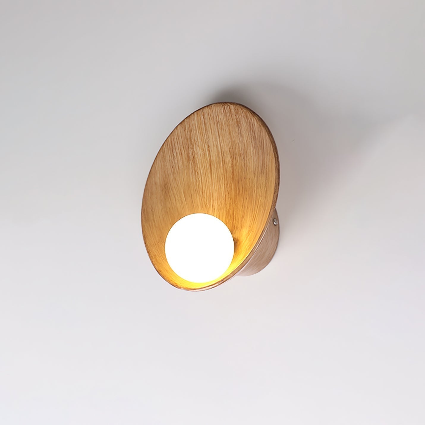 Seashell Resin Wall Lamp - Letslighting