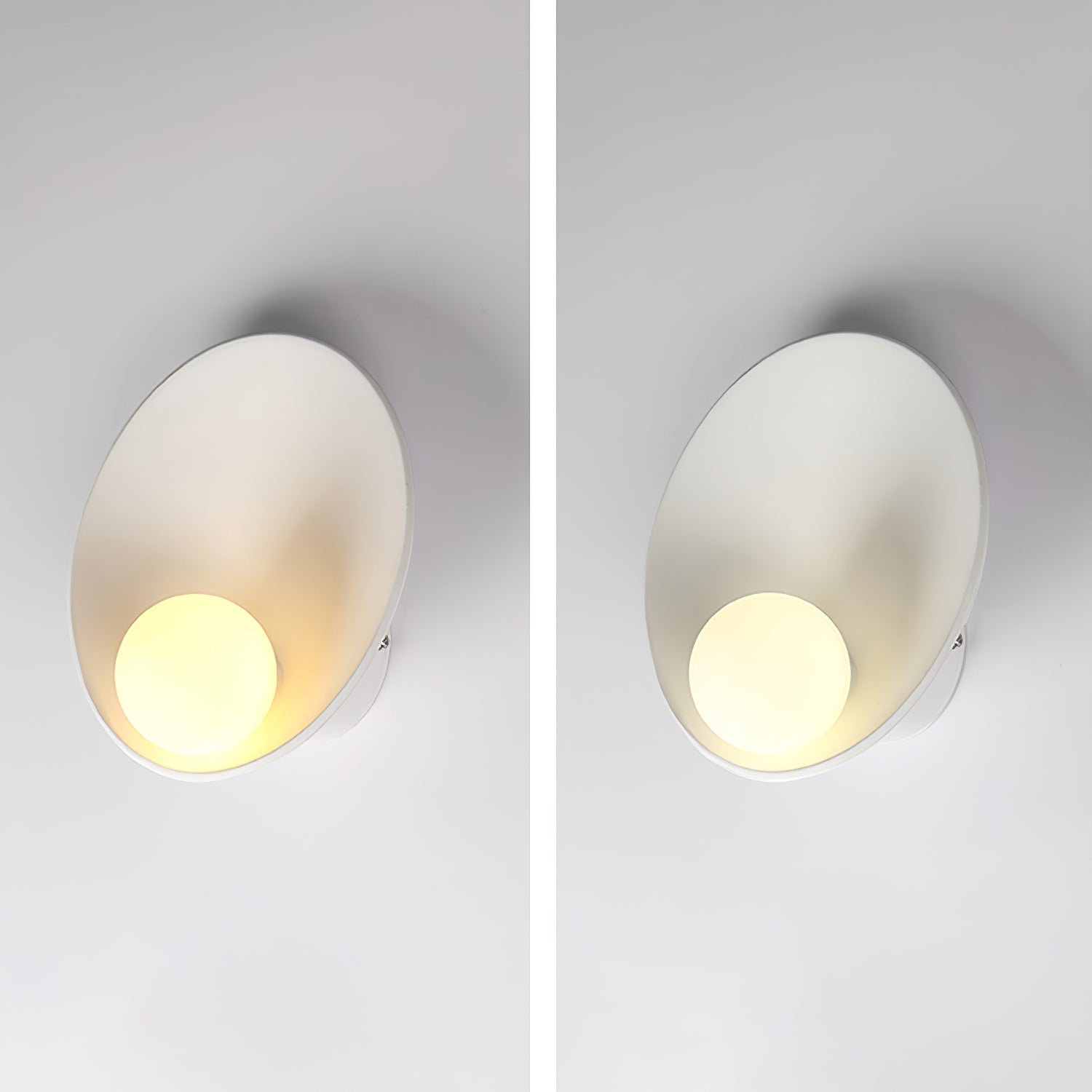 Seashell Resin Wall Lamp - Letslighting