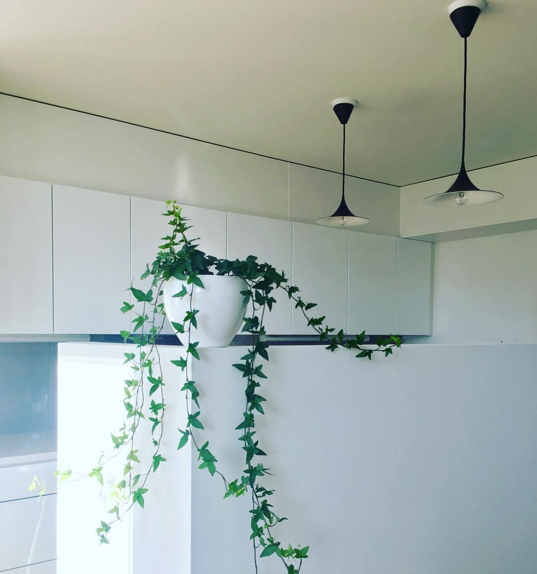 Semi Pendant Light - Letslighting