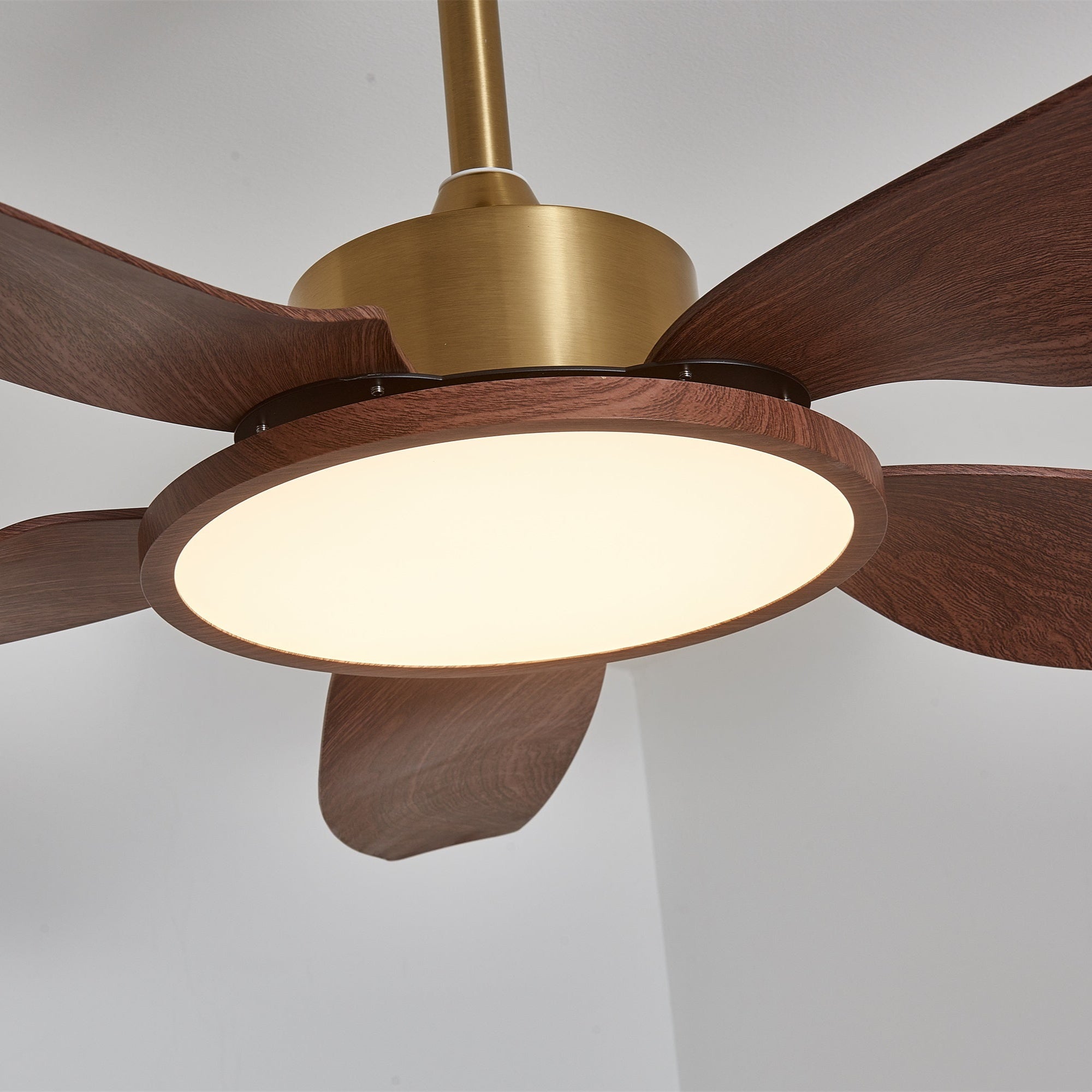 Vista superior del ventilador con luz Aurelia.