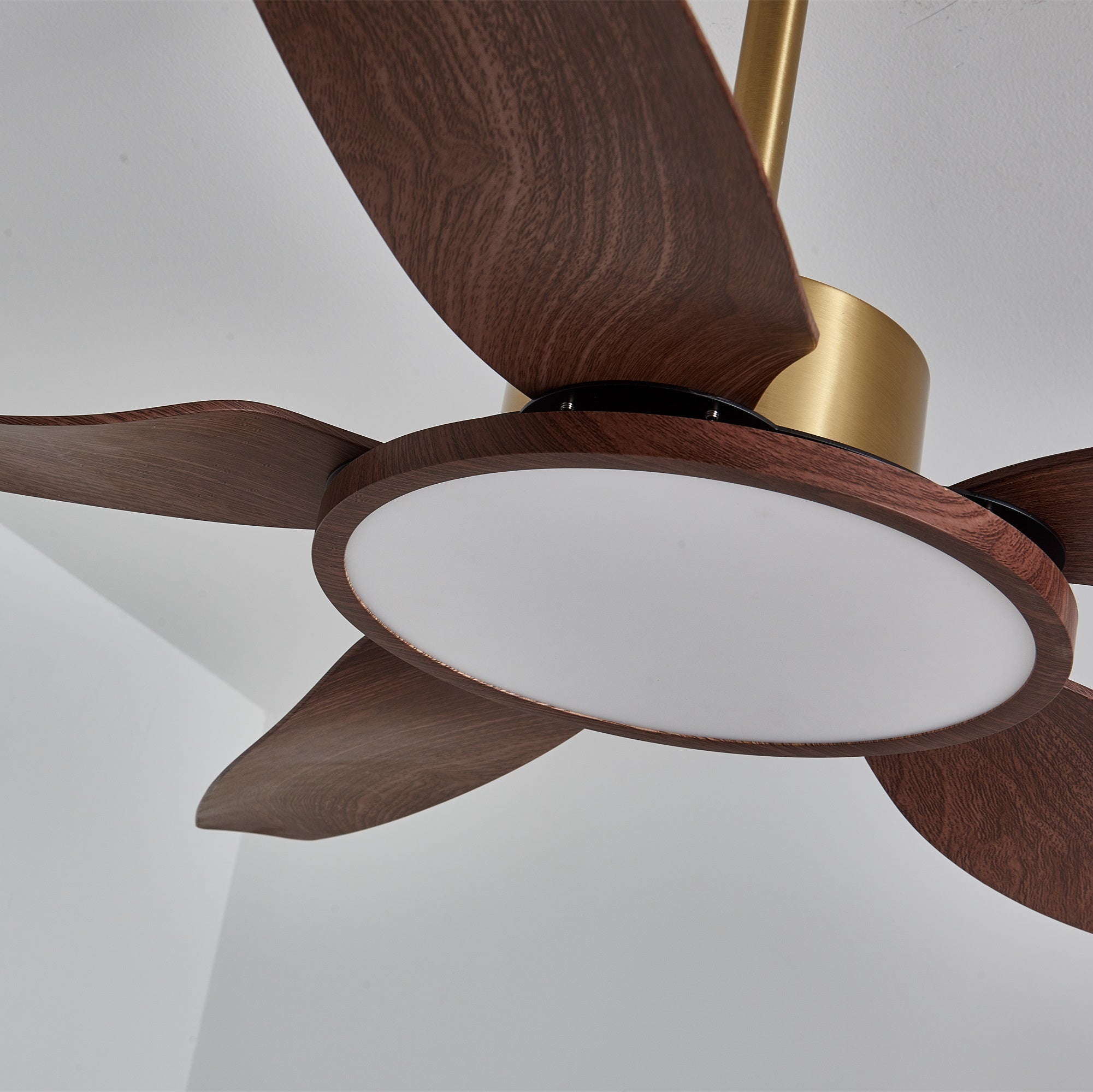 El ventilador con luz en funcionamiento, creando flujo de aire.