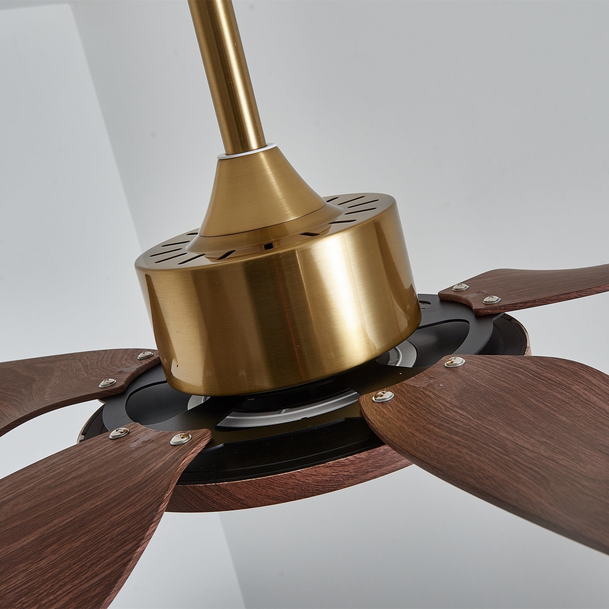 Ventilador con luz Aurelia, destacando su instalación de conexión directa.
