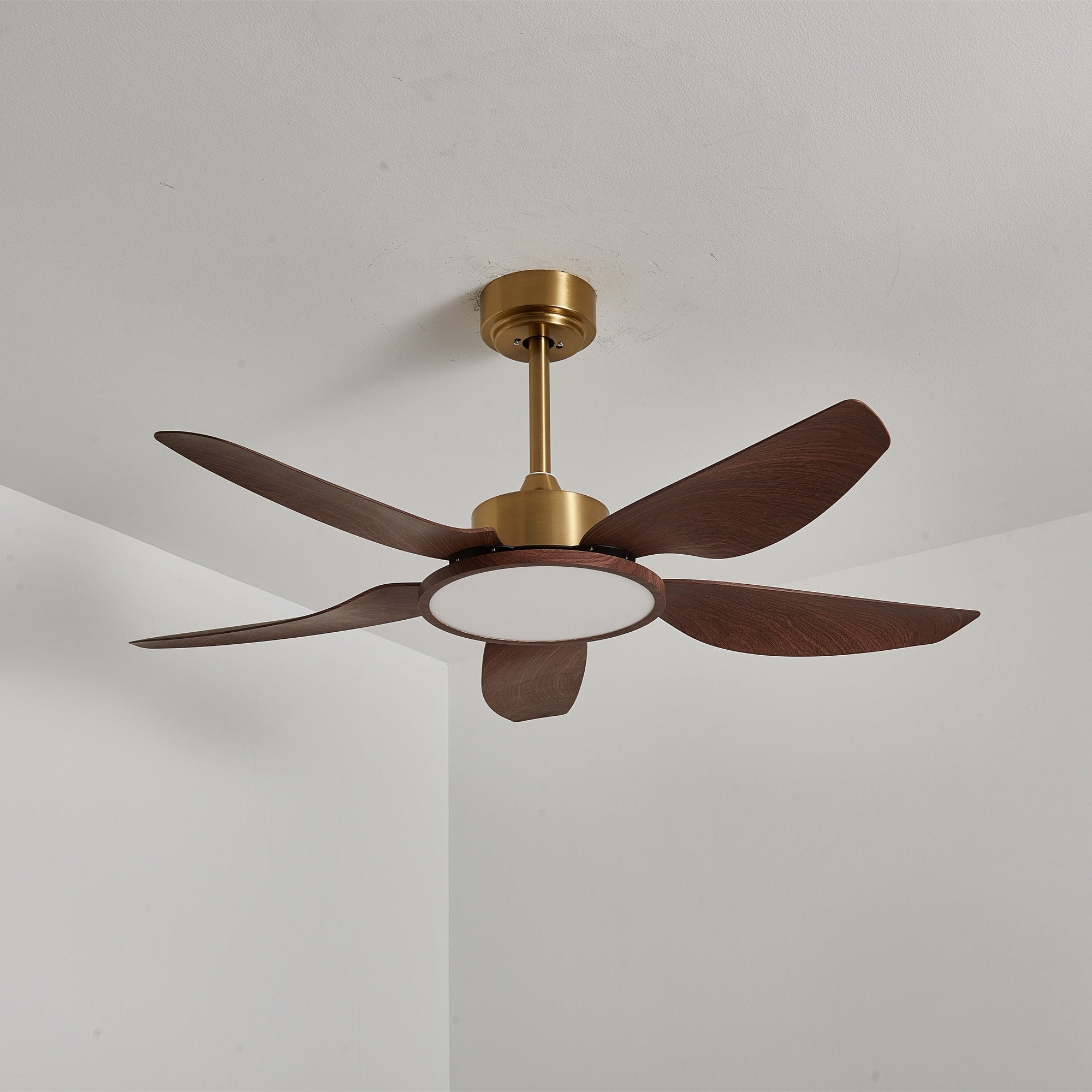 El ventilador con luz en un interior de hogar contemporáneo.