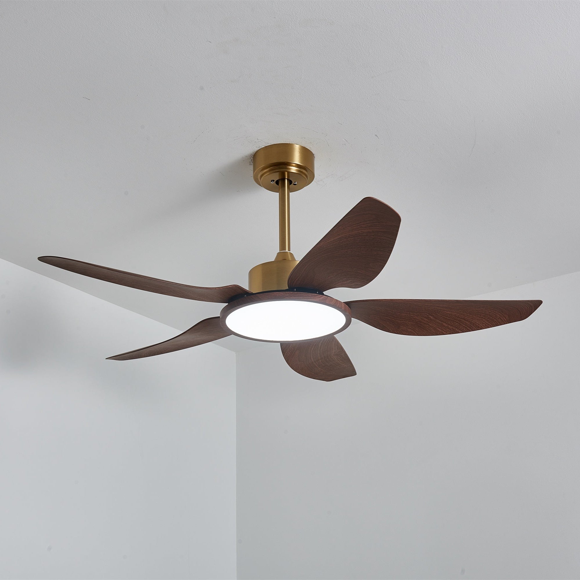 Ventilador de Techo Aurelia con aspas extendidas.