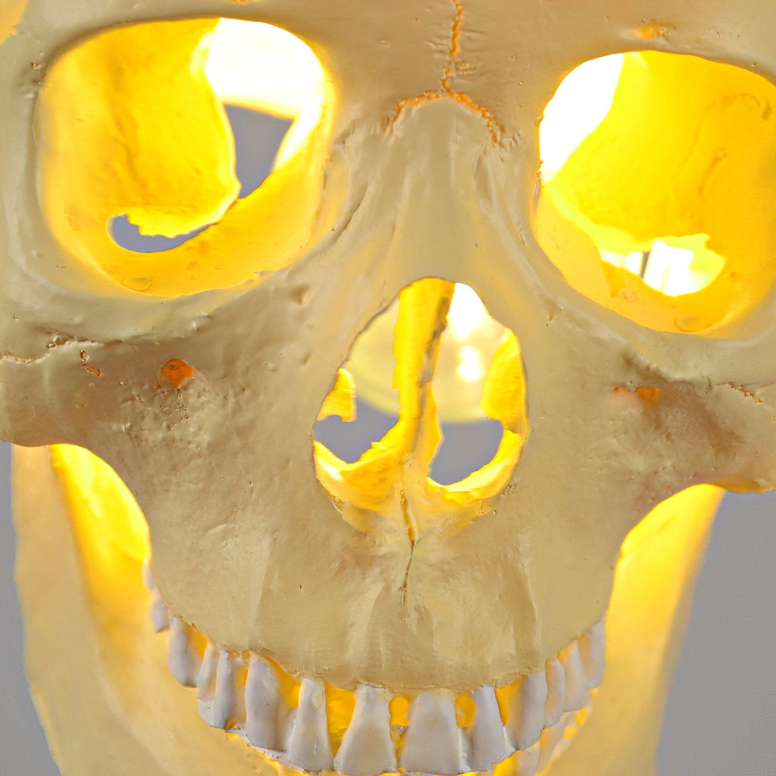 Skull Pendant Light - Letslighting