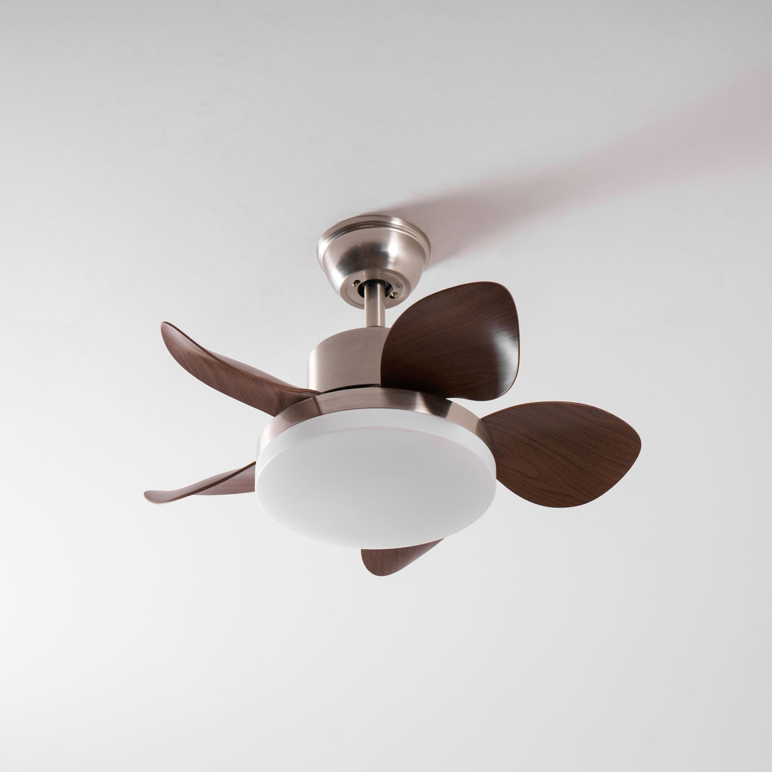 Luz del ventilador Alenya proporcionando iluminación ambiental y funcional