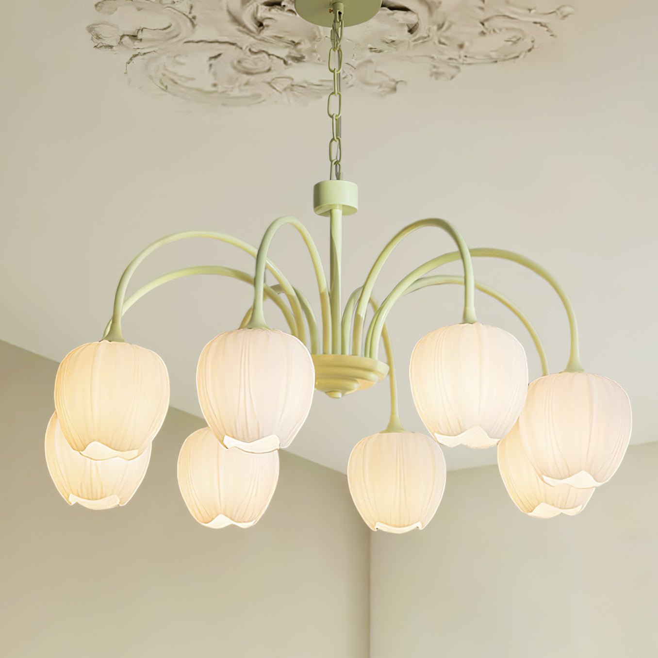 Tulip Matcha Chandelier - Letslighting