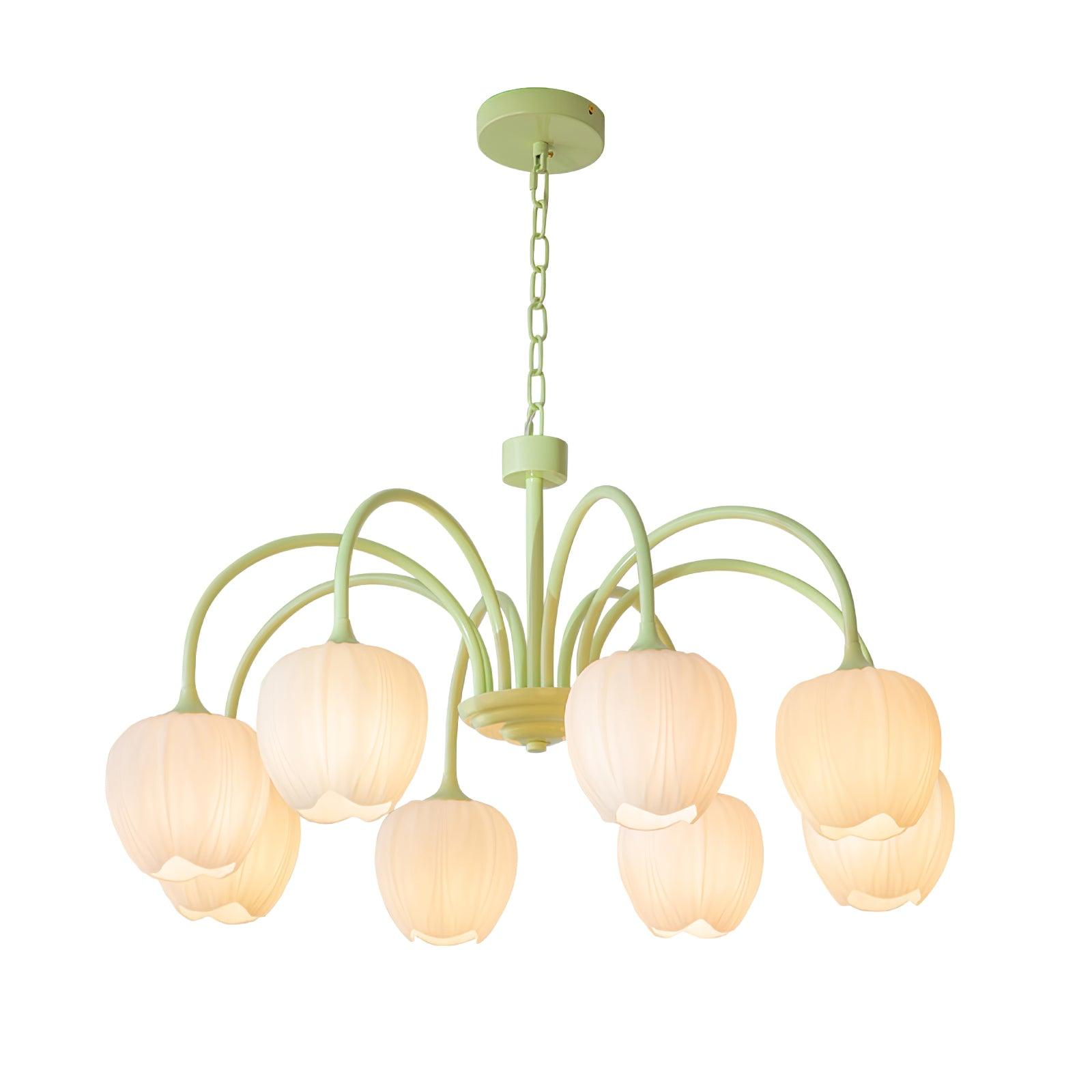 Tulip Matcha Chandelier - Letslighting