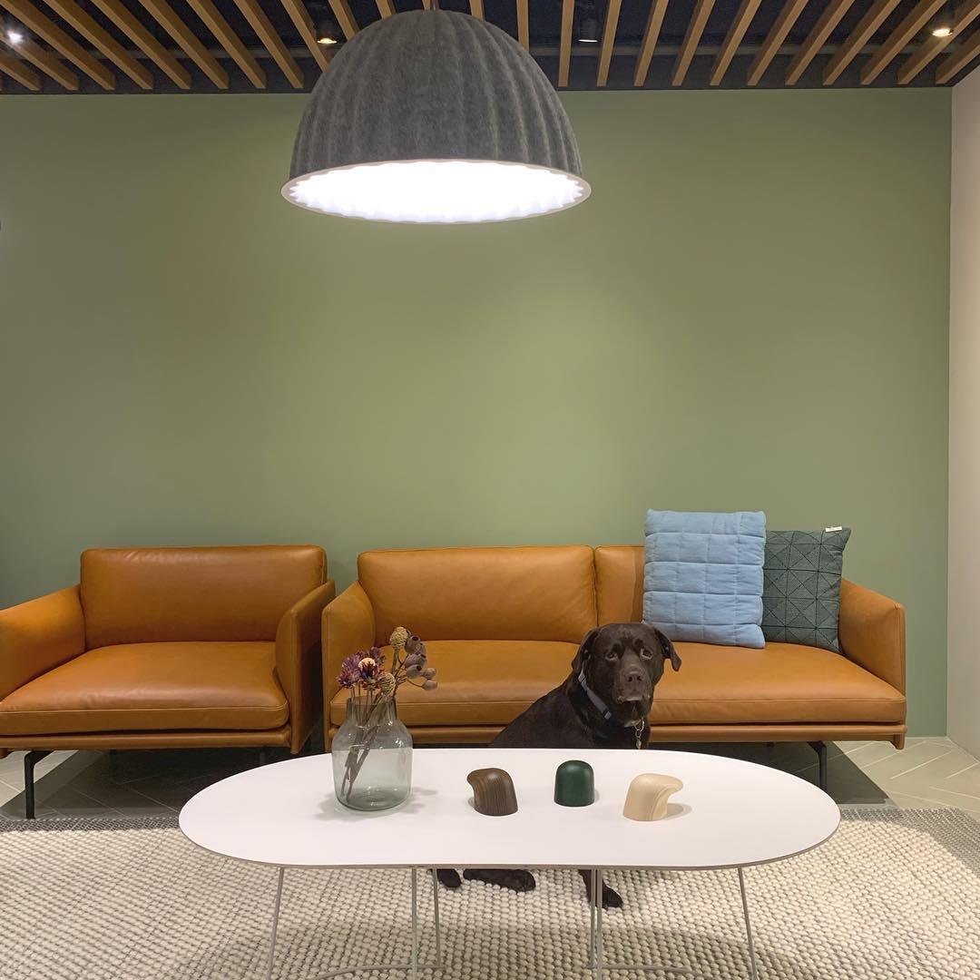 Felt Harmony Pendant Light - Letslighting
