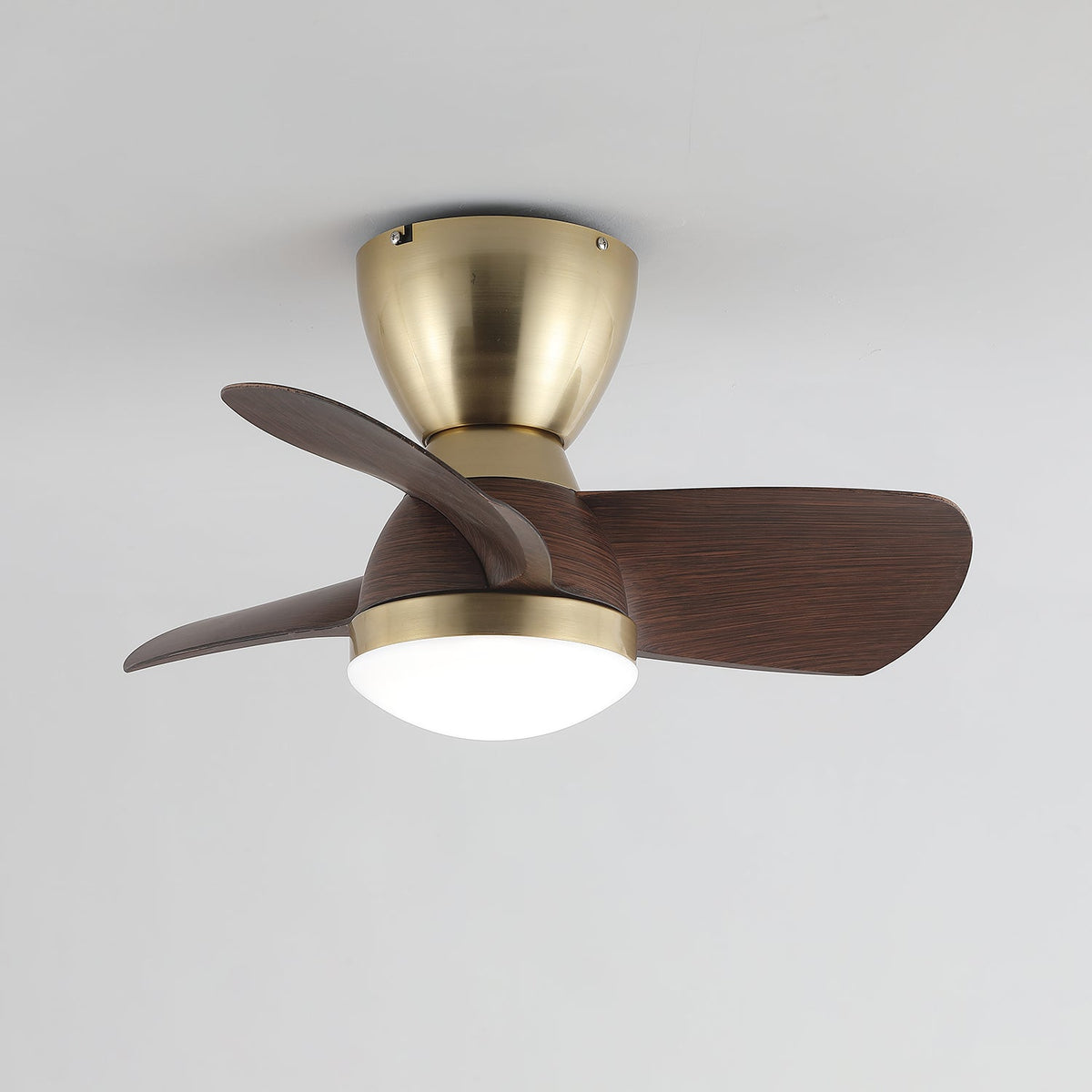 Ventilador de Techo Elora destacando su función de control de 6 velocidades