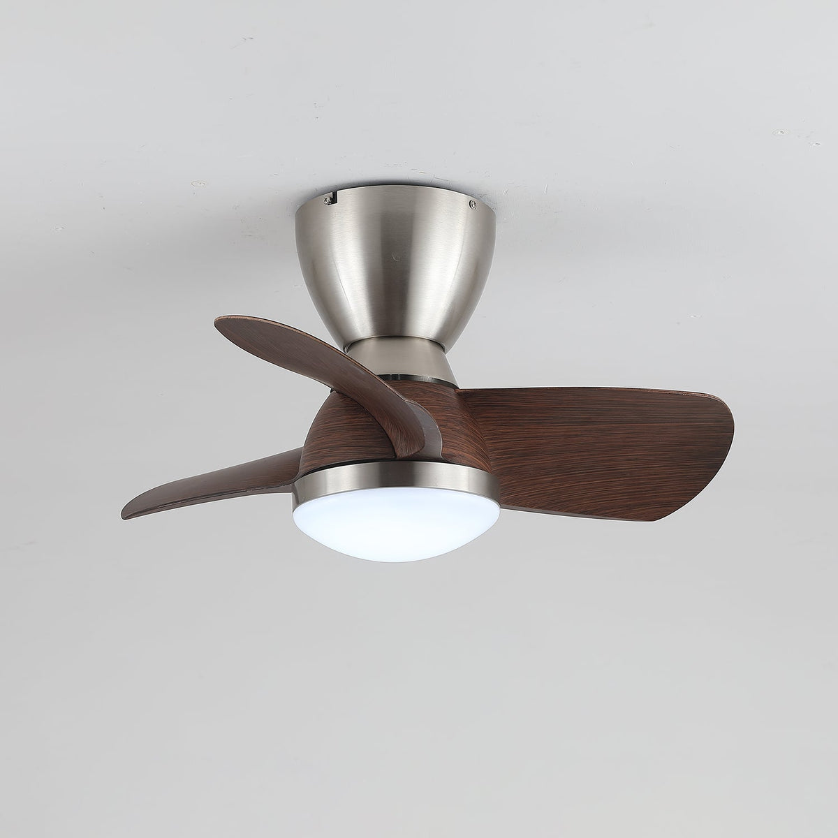 Ventilador de Techo Elora con pantalla acrílica blanca