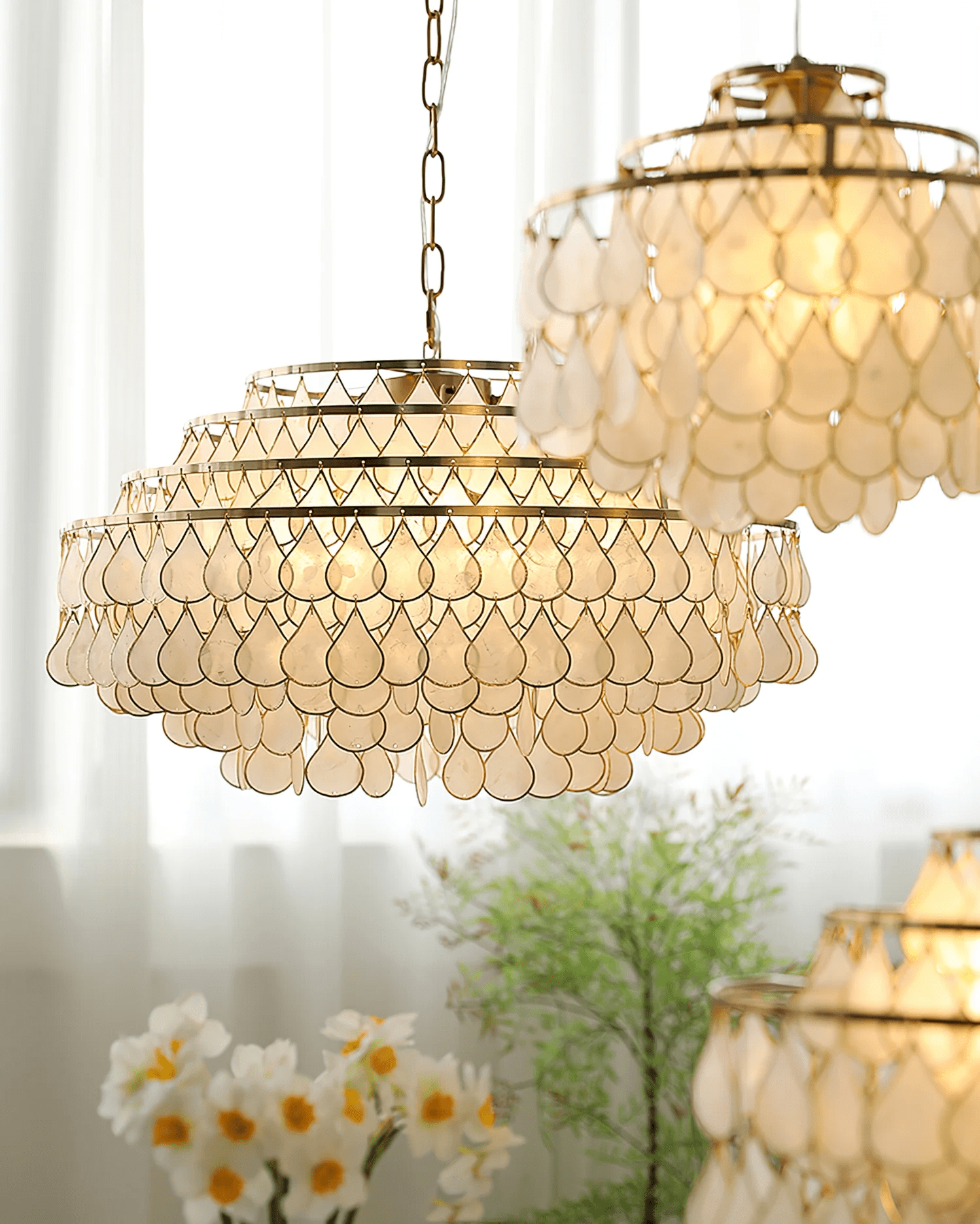 Teardrops Shell Chandelier - Letslighting