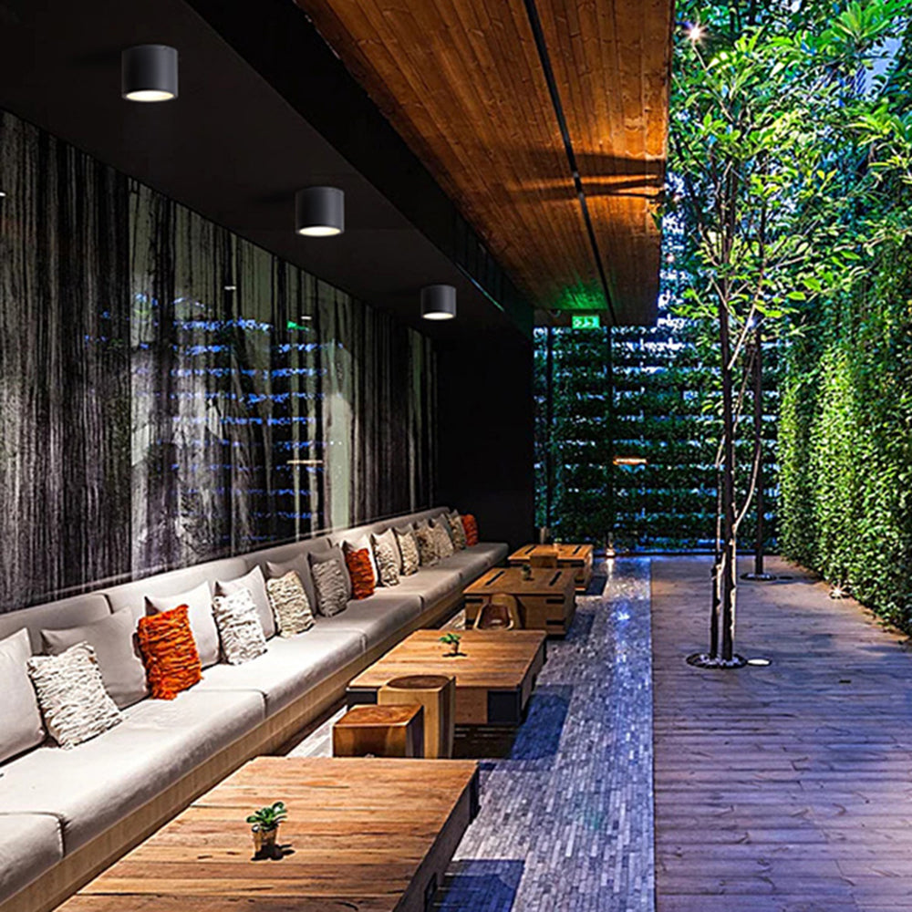 Ray Moderna Cilíndrica LED Metal Lámpara De Techo Exterior