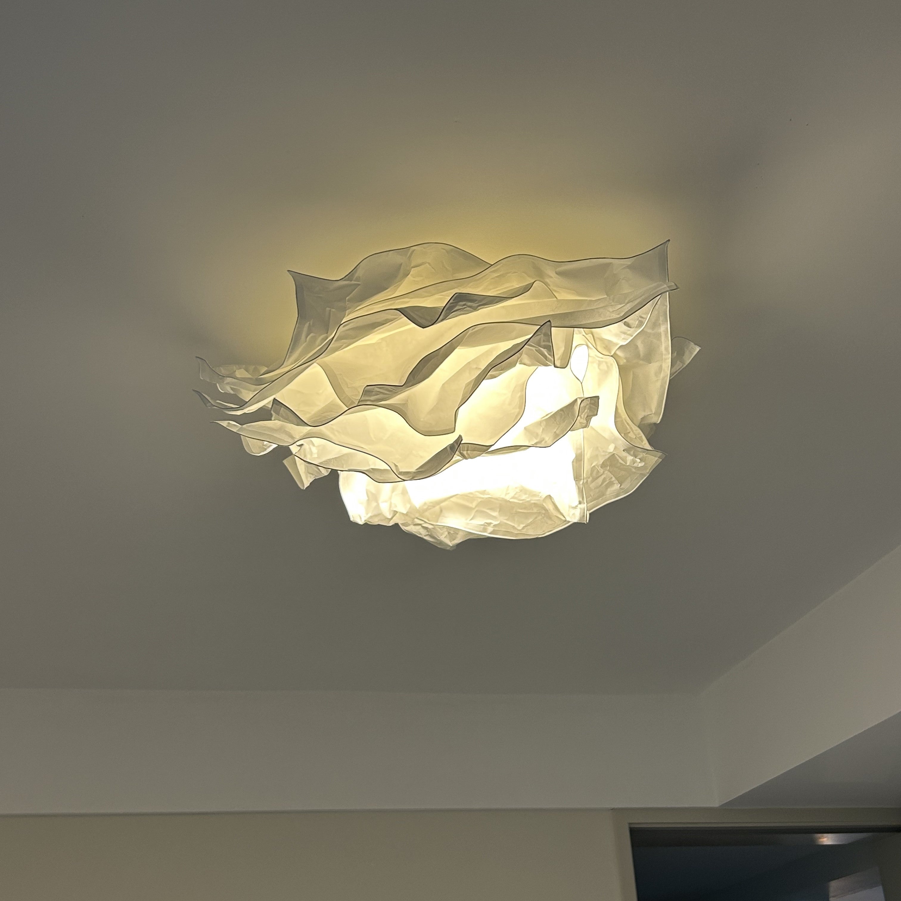 Ritta Diseño Flor Metal Plafón Lámpara de Techo Estudio Dormitorio