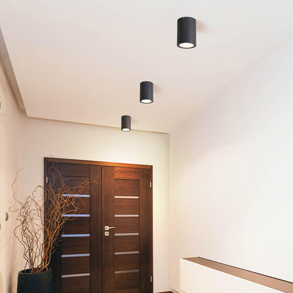 Ray Moderna Cilíndrica LED Metal Lámpara De Techo Exterior