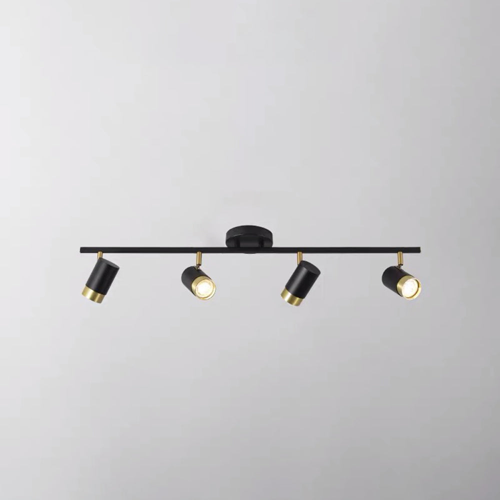 Arisha Minimalista Multiple Foco Metal Lámpara de Techo Negra