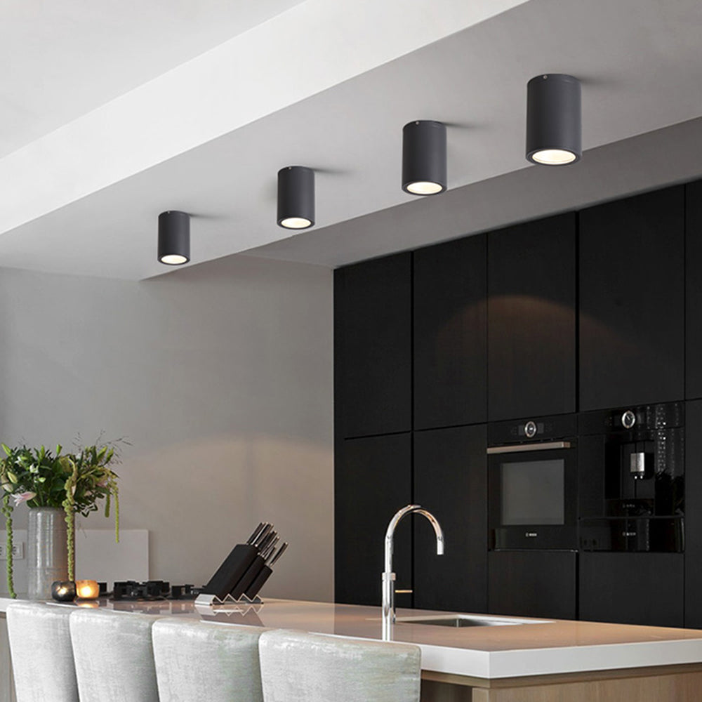 Ray Moderna Cilíndrica LED Metal Lámpara De Techo Exterior