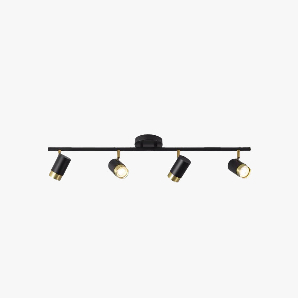 Arisha Minimalista Multiple Foco Metal Lámpara de Techo Negra
