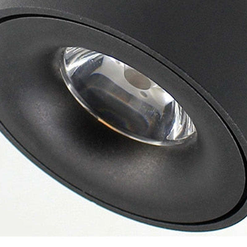 Arisha Moderna Foco Led Metal Lámpara de Techo Blanca/Negra