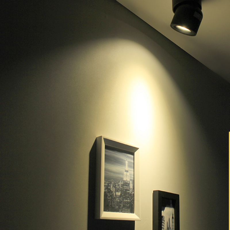 Arisha Moderna Foco Led Metal Lámpara de Techo Blanca/Negra