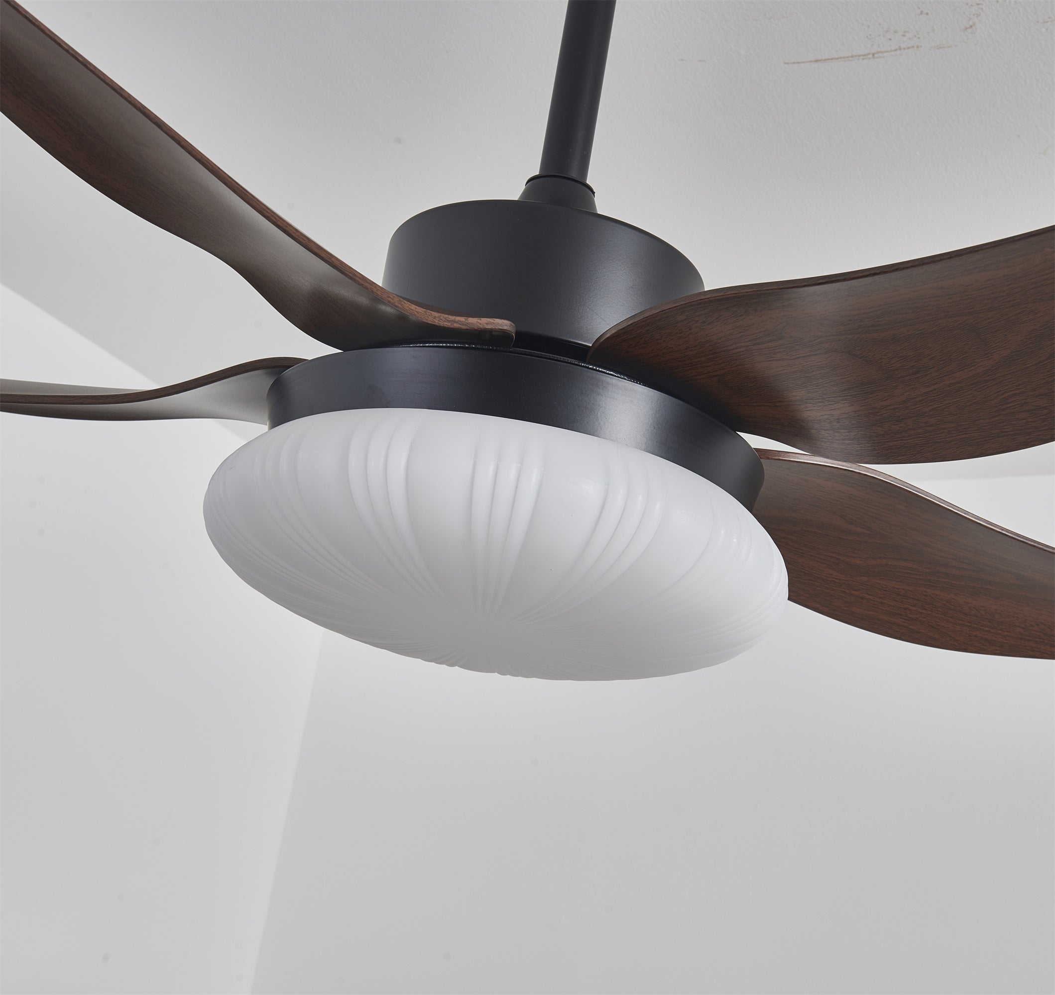 Ventilador de Techo con Luz Zerith, detalle de la construcción con clasificación IP20 para ambientes húmedos