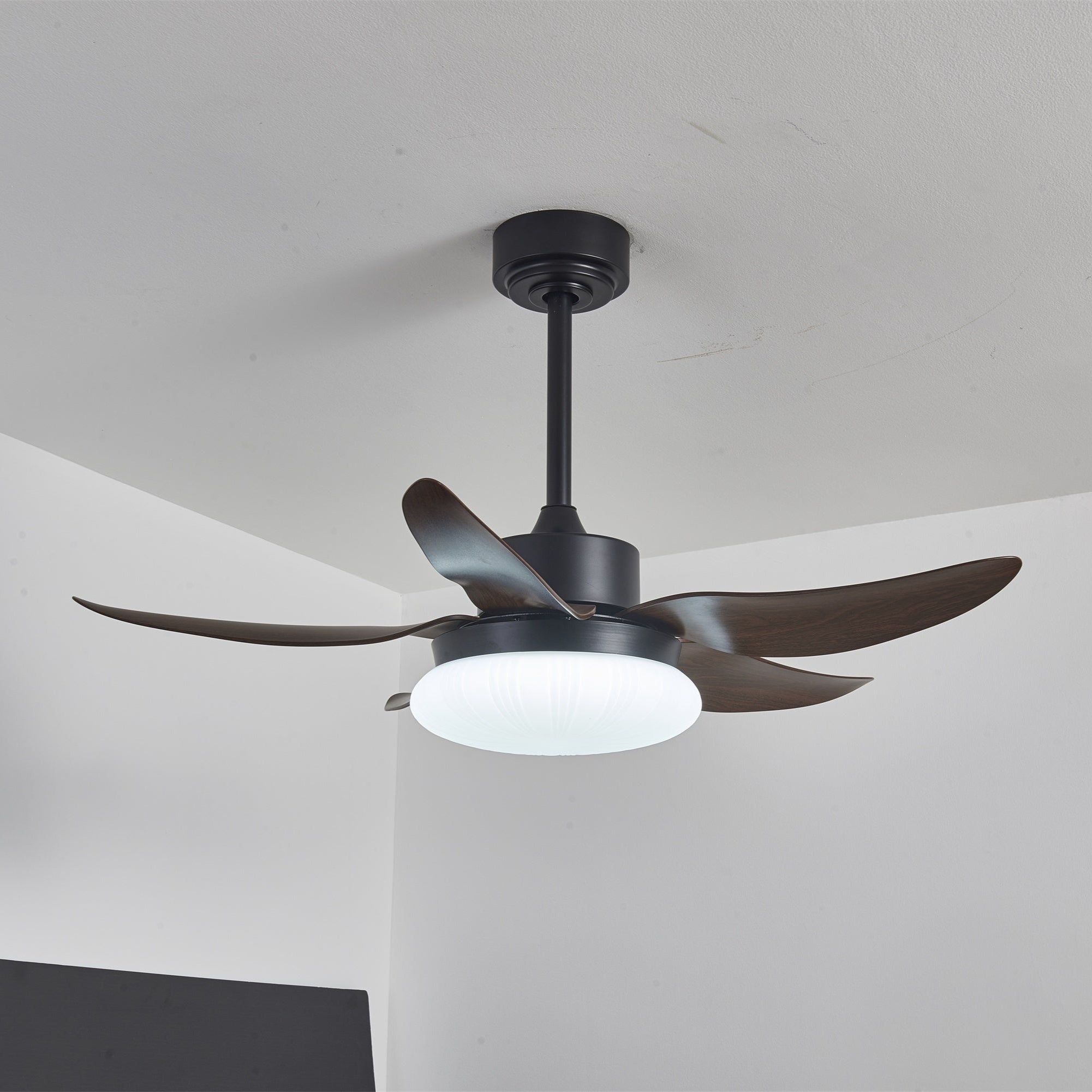 Ventilador de techo moderno con luz LED integrada, encendido