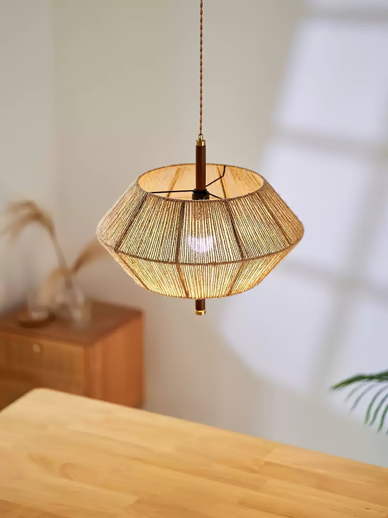Aluna Corded Pendant Light - Letslighting