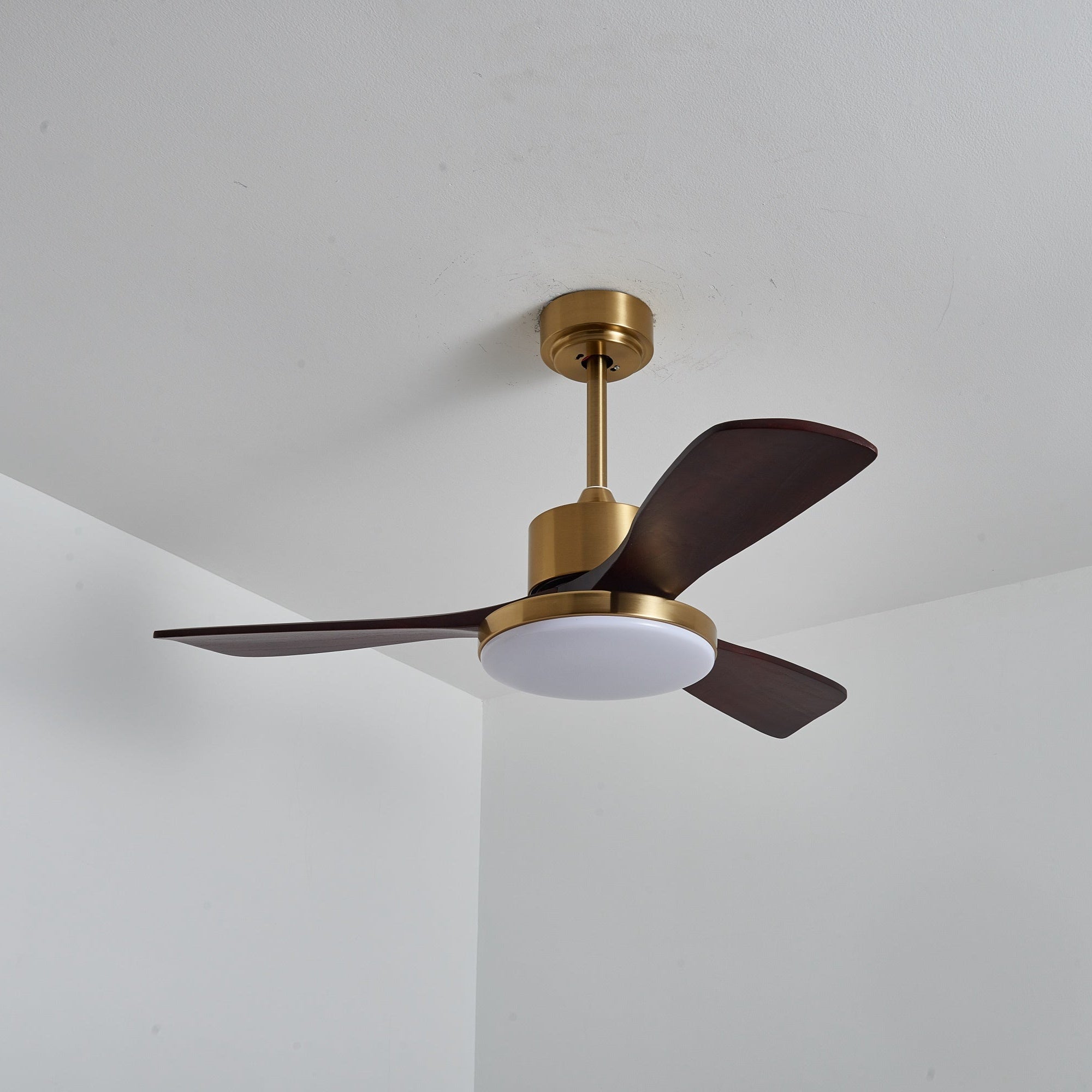 Lámpara Ventilador de Techo Moderna Xen de Madera