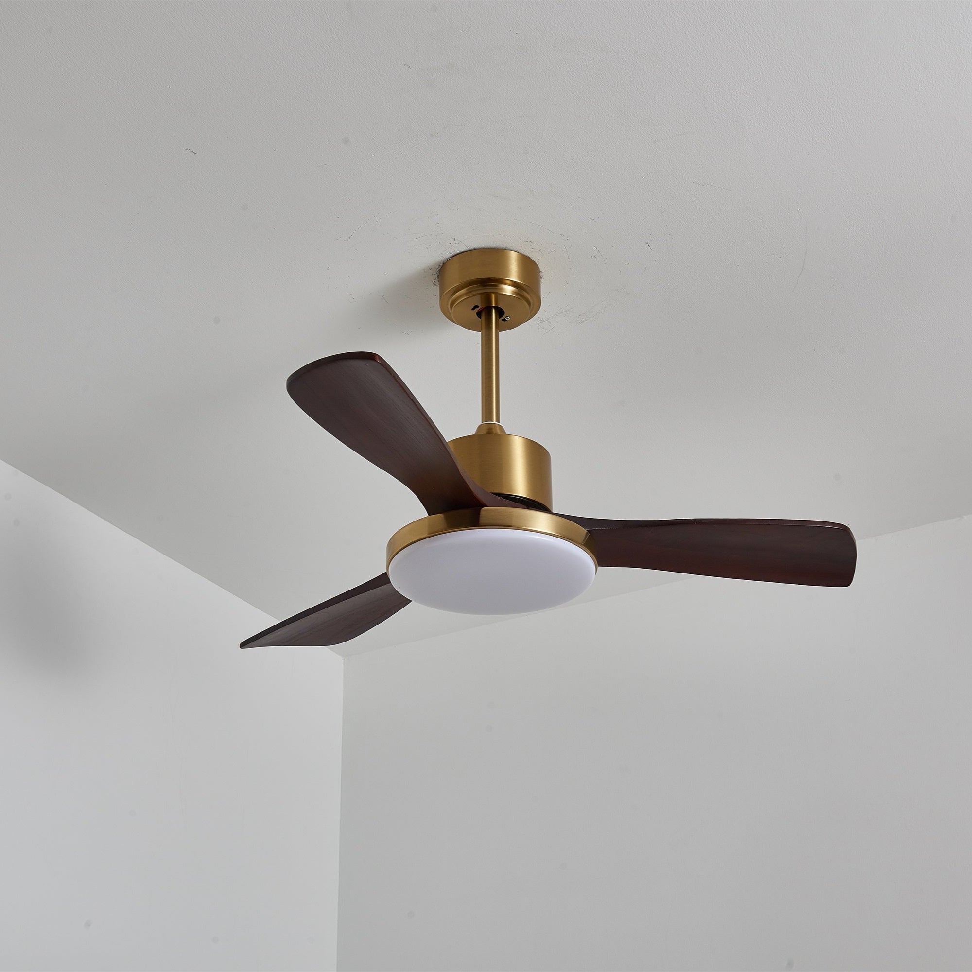 Lámpara Ventilador de Techo Moderna Xen de Madera