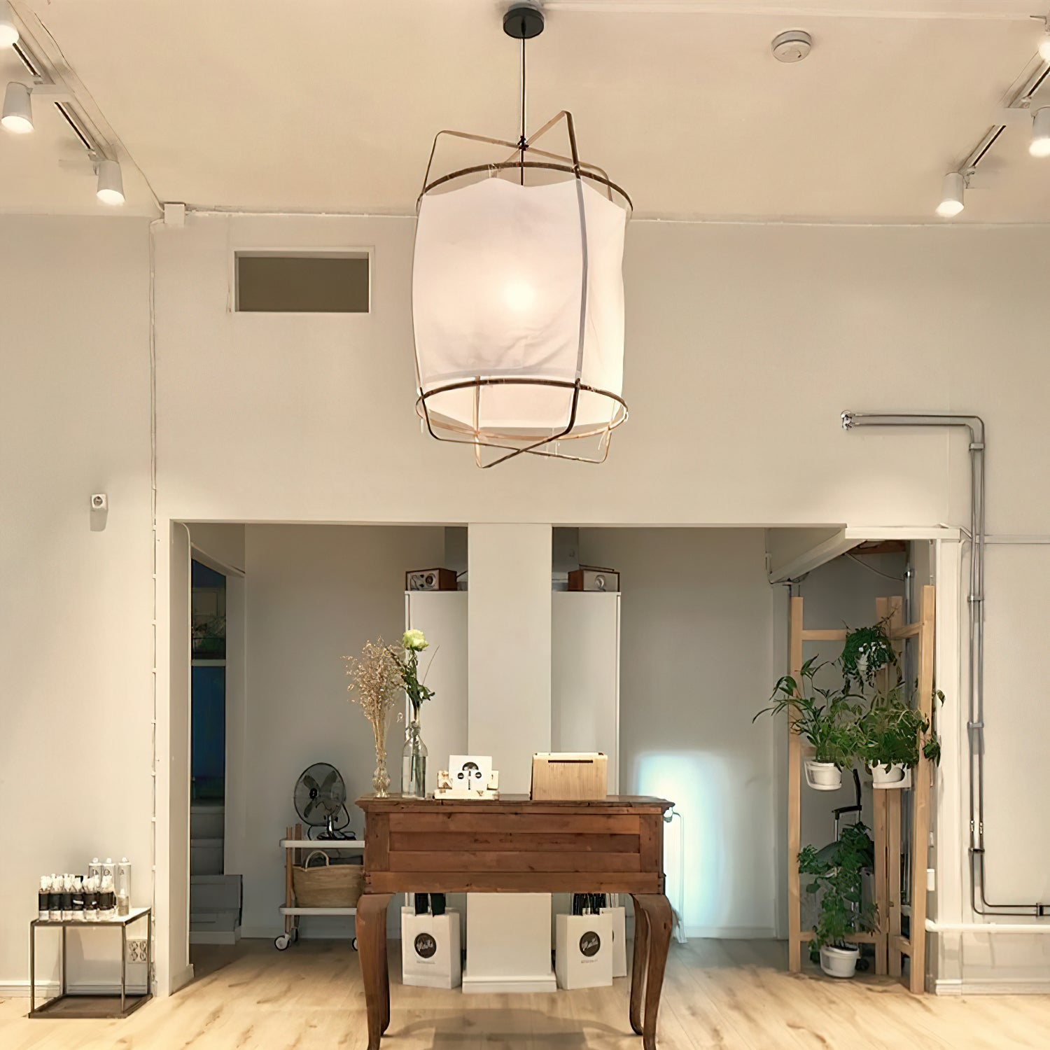 Ay illuminate Pendant Light - Letslighting