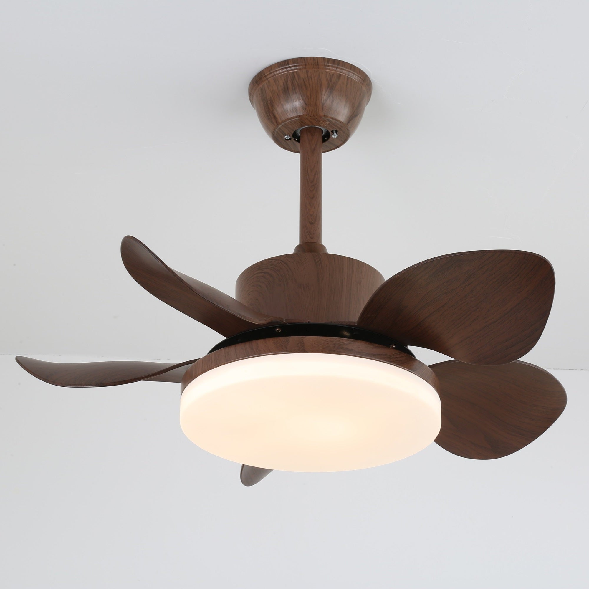 Ventilador de techo Alenya con luz instalado en un techo blanco