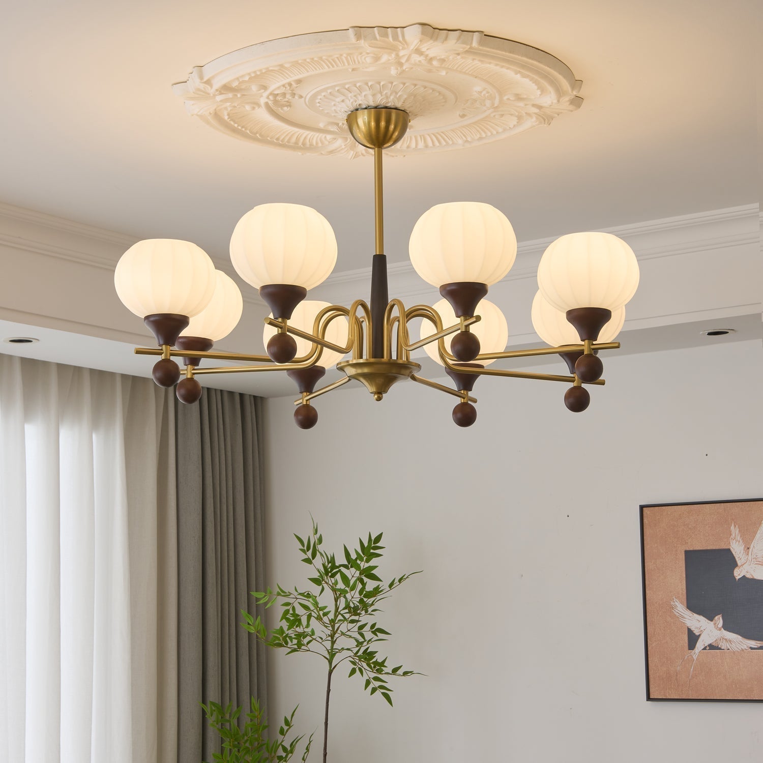 Ceylian Chandelier - Letslighting