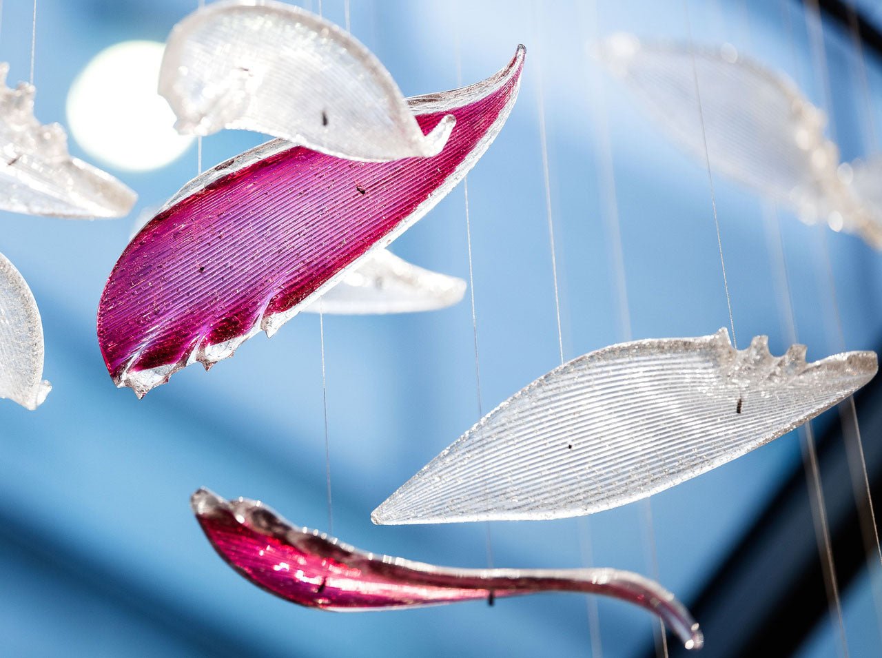 Zathaara Glass Feather Shape Chandelier - Letslighting