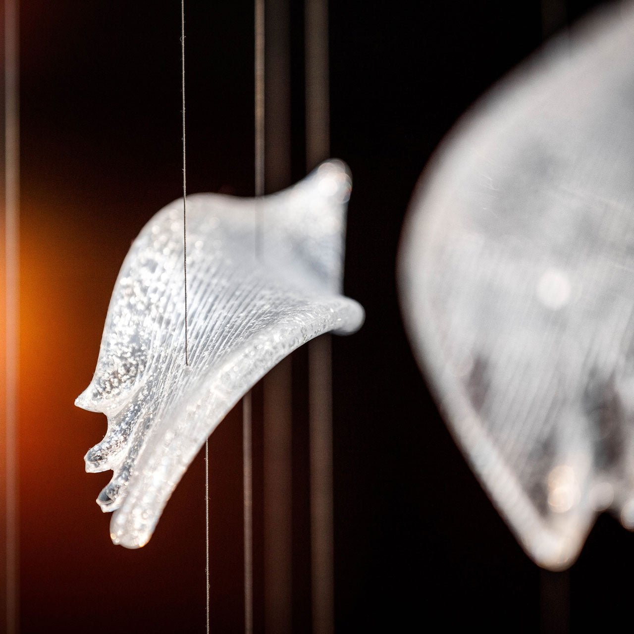 Zathaara Glass Feather Shape Chandelier - Letslighting