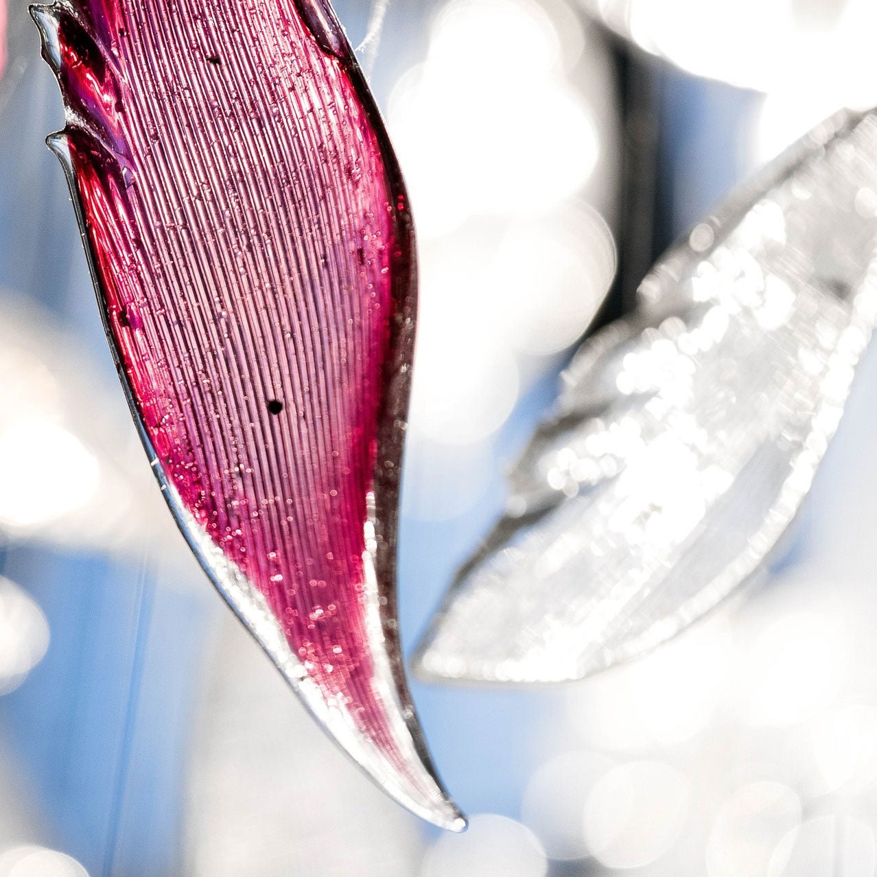Zathaara Glass Feather Shape Chandelier - Letslighting