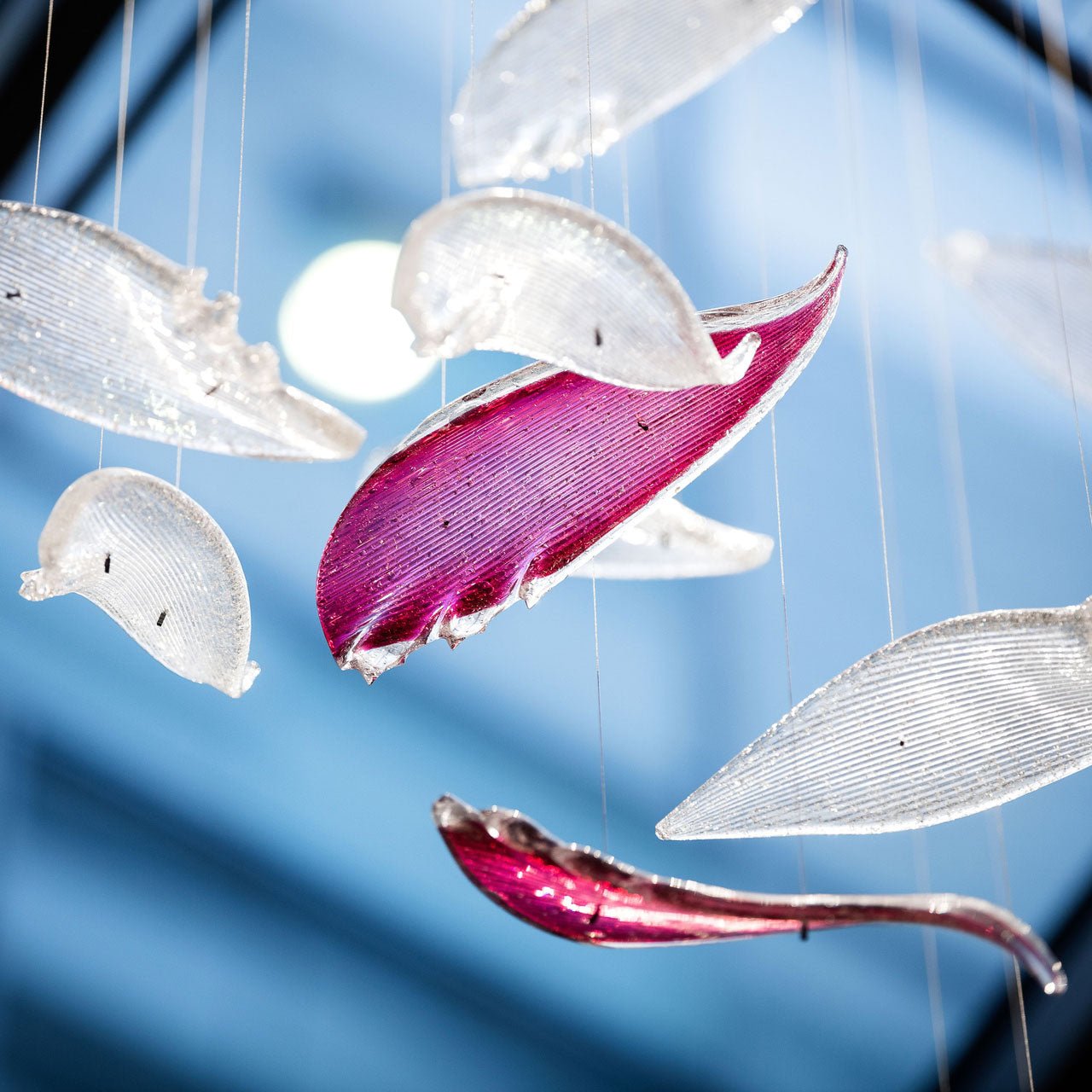 Zathaara Glass Feather Shape Chandelier - Letslighting