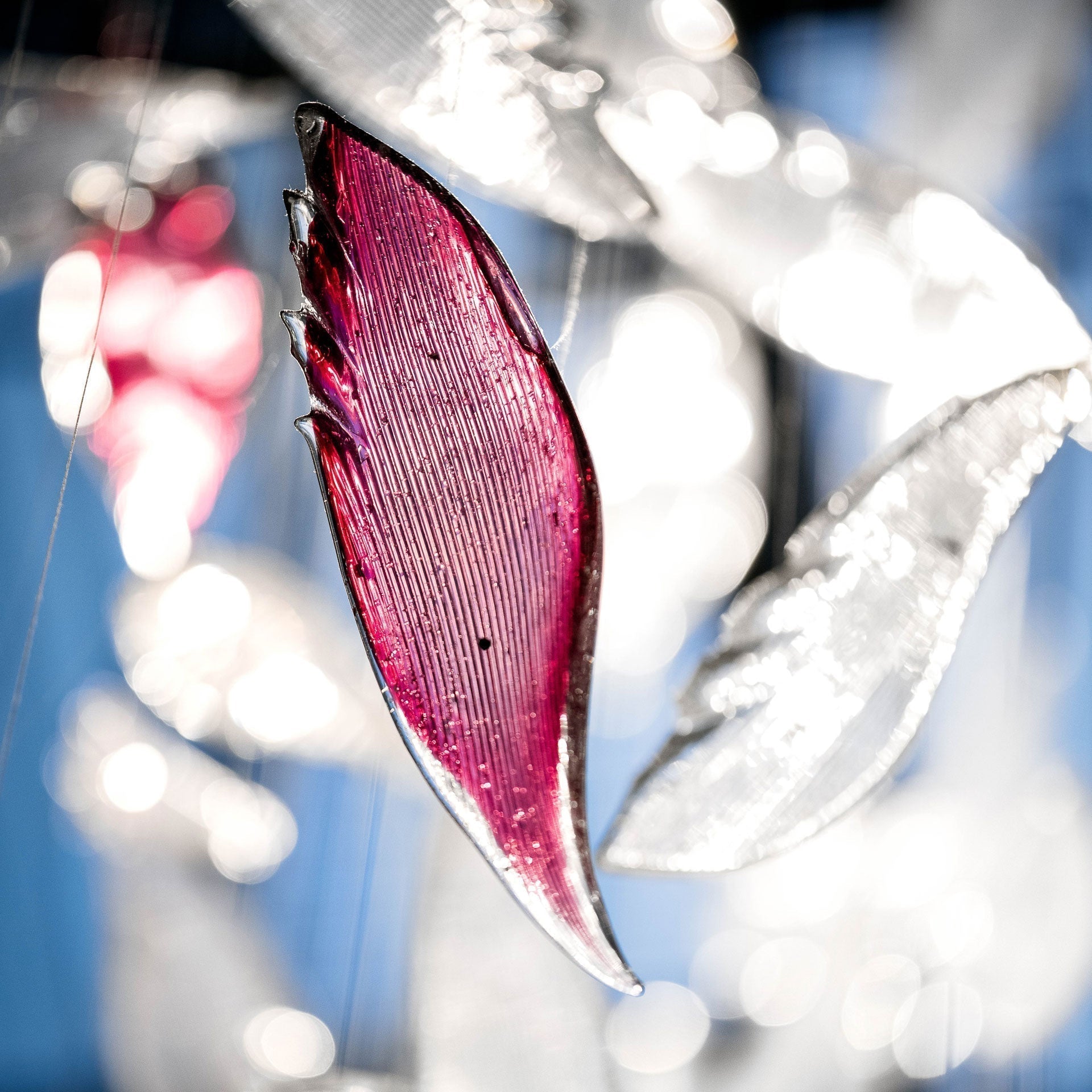Zathaara Glass Feather Shape Chandelier - Letslighting