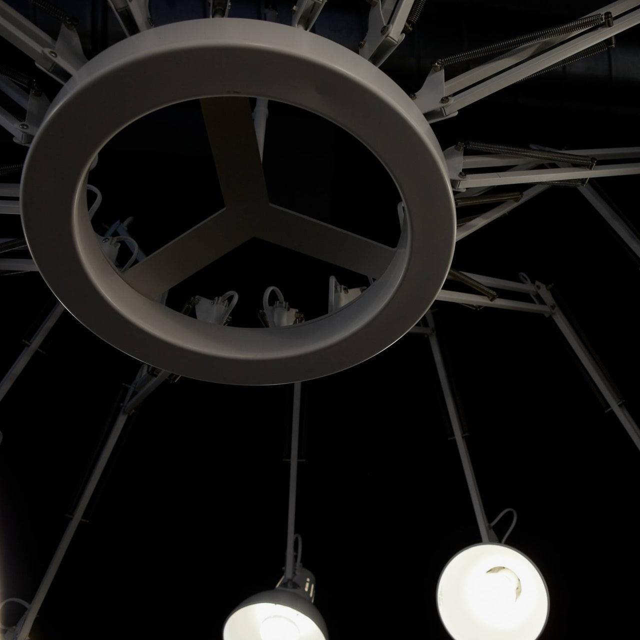 Dear Ingo Chandelier - Letslighting