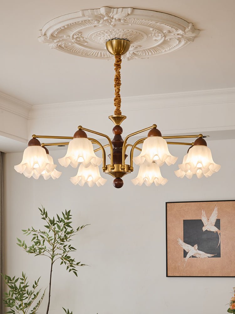 Dioris Chandelier - Letslighting