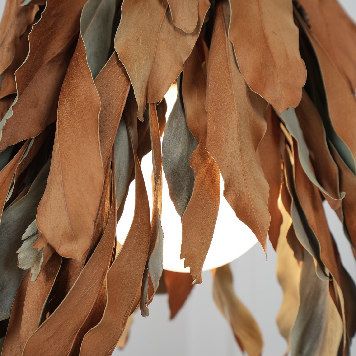 Dried Branch Leaf Pendant Lamp - Letslighting