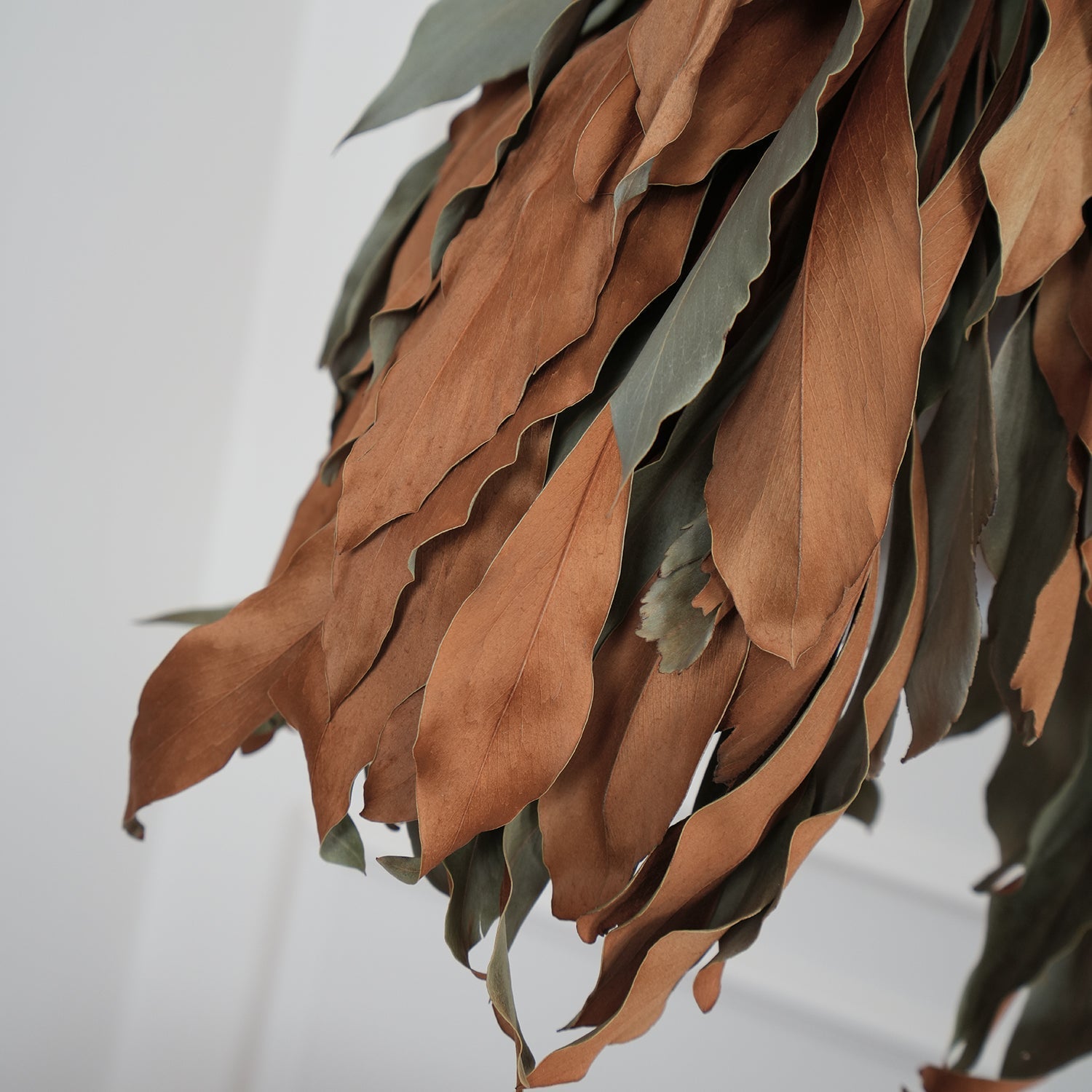 Dried Branch Leaf Pendant Lamp - Letslighting