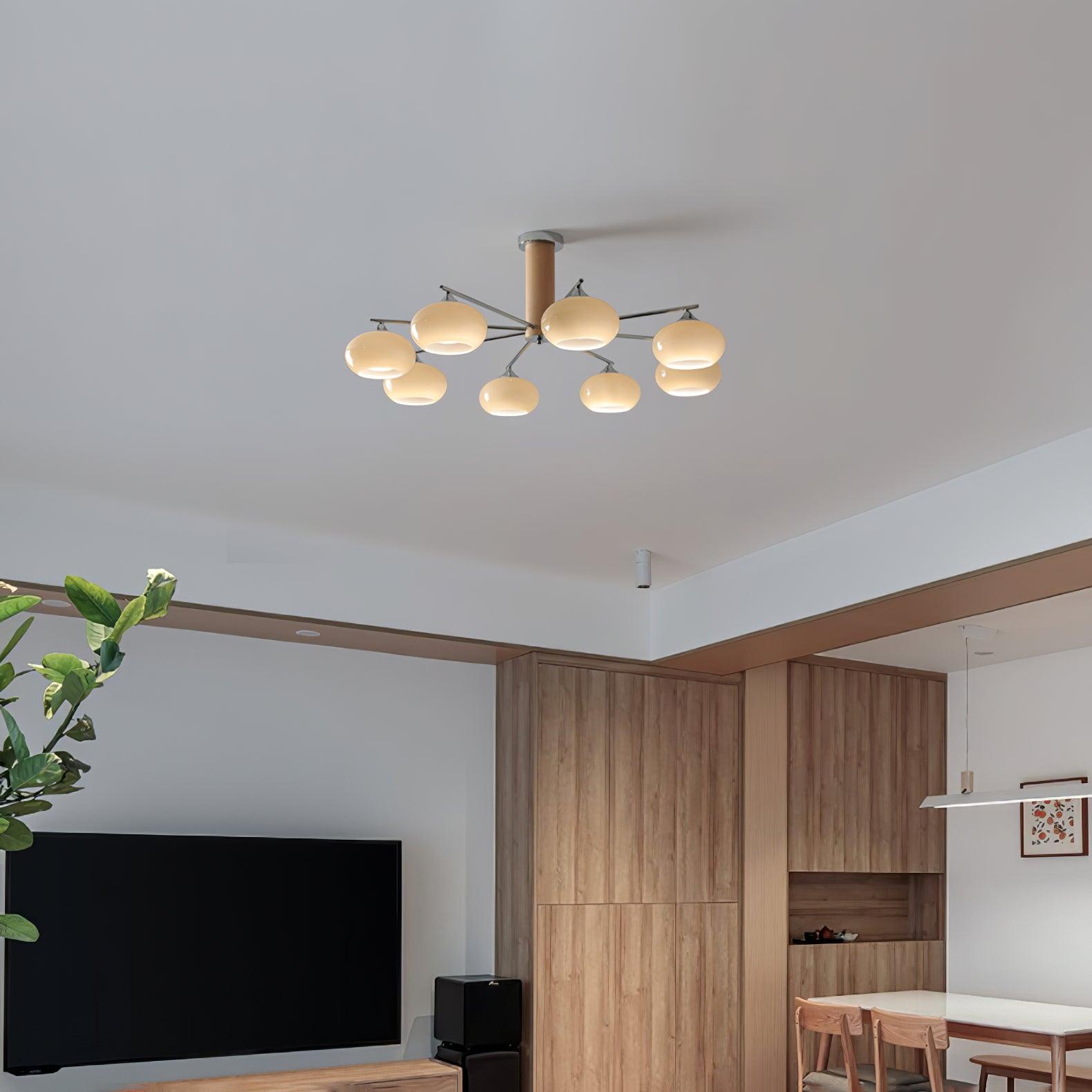 Elliptical Persimmon Chandelier - Letslighting