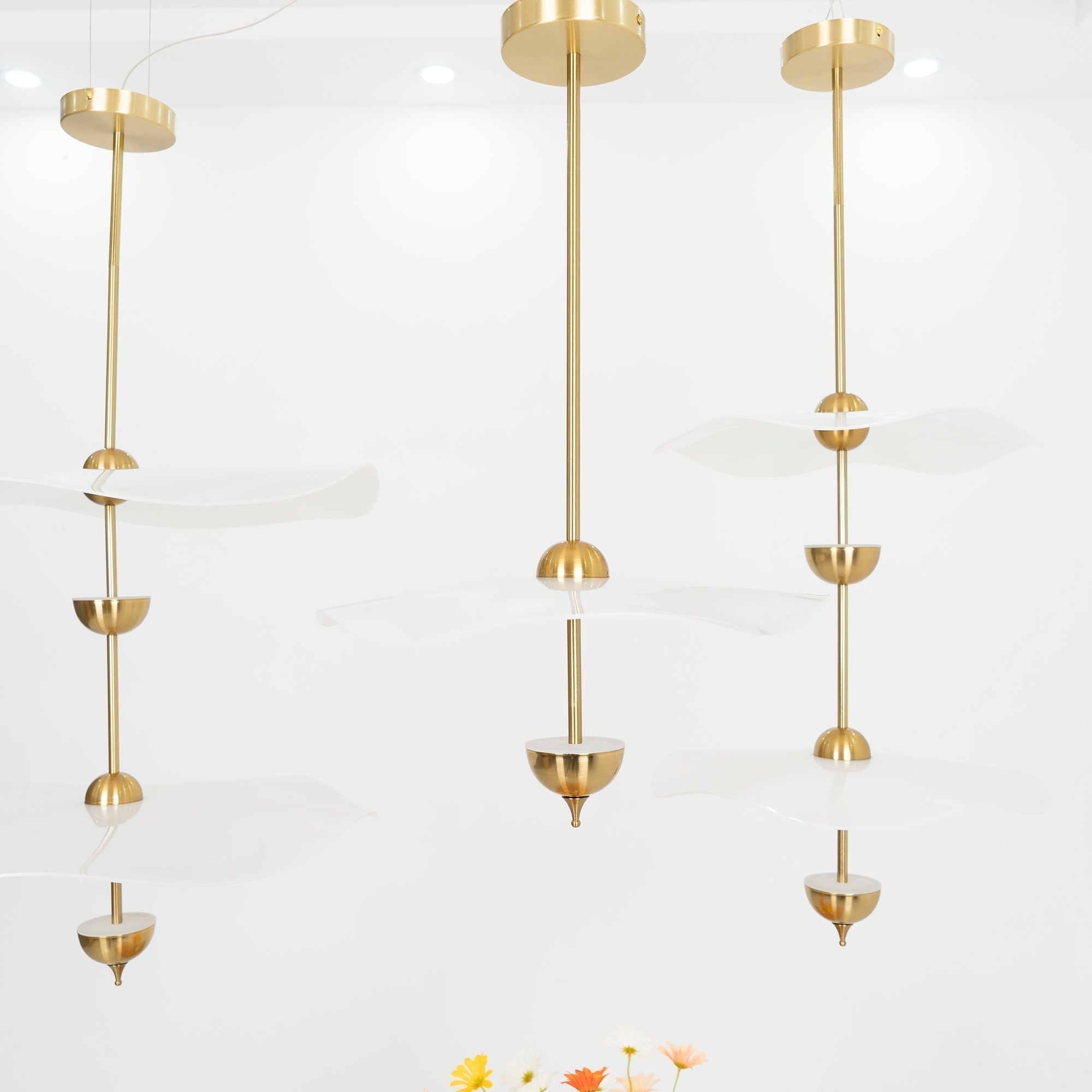 Envolee Double Biscuit Pendant Light - Letslighting